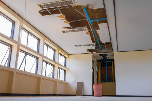 Best Commercial water damage restoration  in Superior, AZ