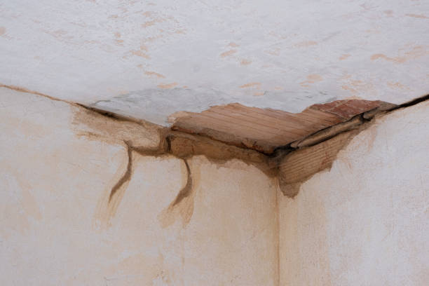 Best Flood damage cleanup  in Superior, AZ