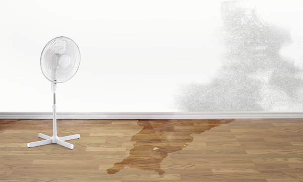 Best 24-hour water damage restoration  in Superior, AZ