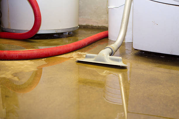 Best 24/7 water damage repair  in Superior, AZ