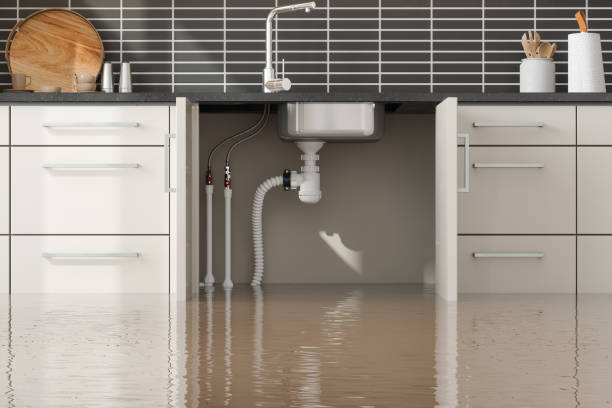 Best Fire Damage Restoration  in Superior, AZ
